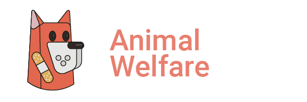 Animal Welfare