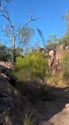 WhatsApp Video 2025-08-19 at 20.26.03_168a3572
