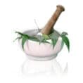 Ayurveda