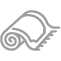 Rugs and carpet Icon